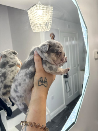 serious-colours-big-0