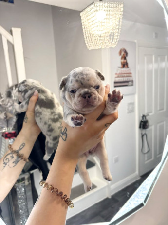 serious-colours-big-1