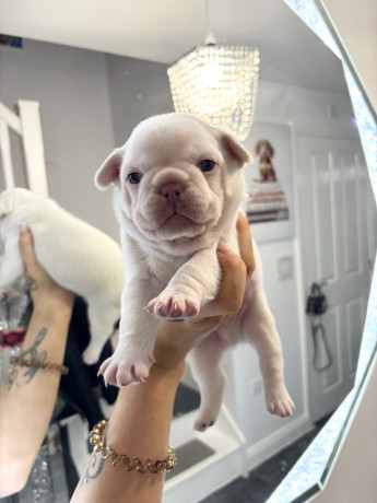 serious-colours-big-2