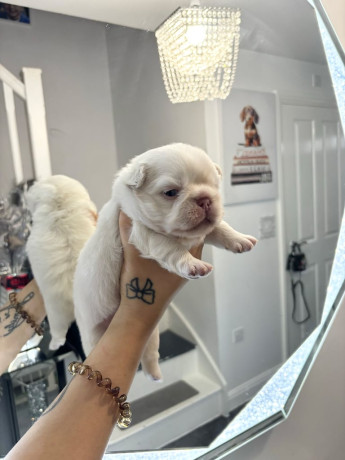 serious-colours-big-3