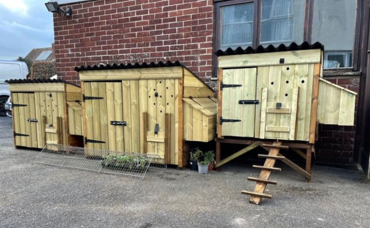 rabbitguinea-pig-hutch-big-2