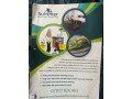 professional-cleaning-for-you-small-0