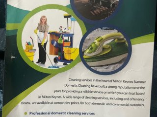 professional-cleaning-for-you