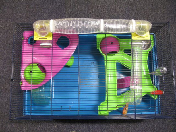hamster-cage-big-1