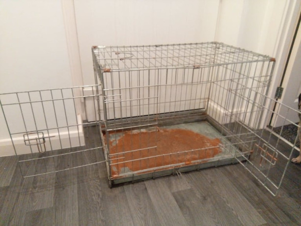 medium-dog-crate-for-restorerefurb-free-to-collect-big-3