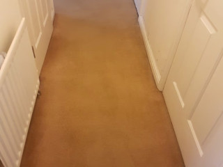 professional-carpet-and-upholstery-steam-cleaning-end-of-tenancy