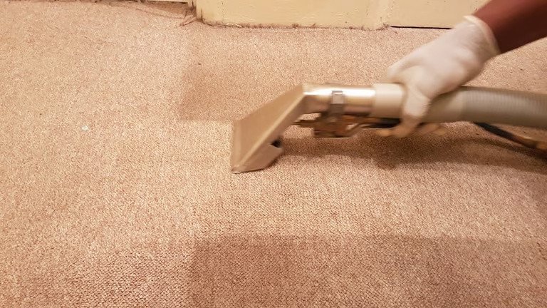 professional-carpet-and-upholstery-steam-cleaning-end-of-tenancy-big-1