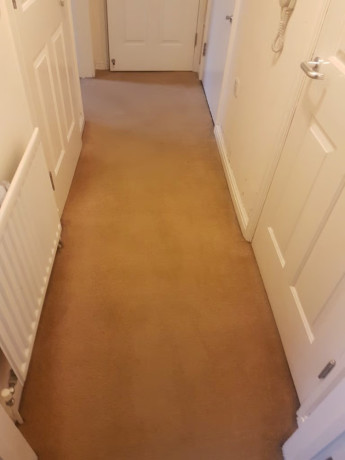 professional-carpet-and-upholstery-steam-cleaning-end-of-tenancy-big-0