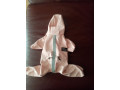 dogs-raincoat-small-0