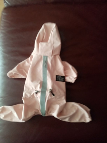 dogs-raincoat-big-0