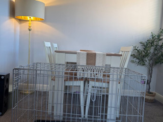 medium-size-double-door-dog-crate