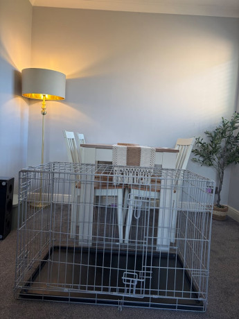 medium-size-double-door-dog-crate-big-0