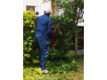 matcol-gardening-services-small-3