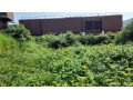 matcol-gardening-services-small-0