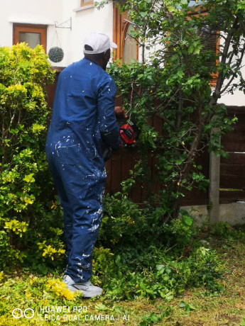 matcol-gardening-services-big-3
