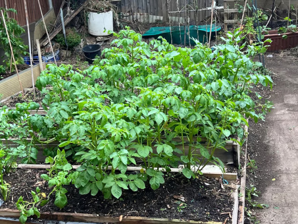 matcol-gardening-services-big-2