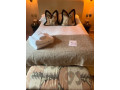 mahiras-bath-domestic-cleaning-services-small-4