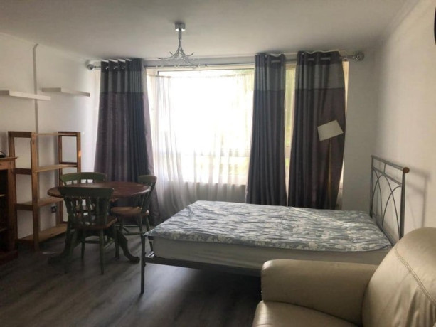 double-room-in-fulham-inc-bills-big-0