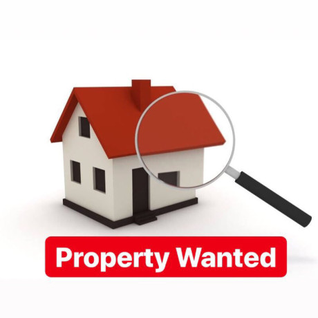 host-families-in-newbury-area-are-needed-big-3