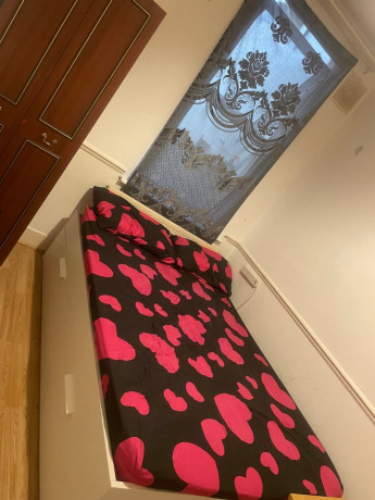 bright-and-spacious-room-in-seven-sisters-available-big-3