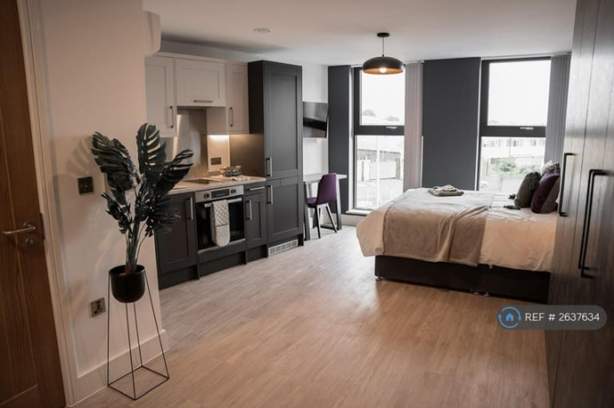 1-bedroom-in-hanley-st-birmingham-b19-2637634-big-1