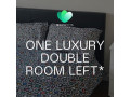 luxury-double-room-in-amazing-clean-shared-house-dss-rooms-small-1