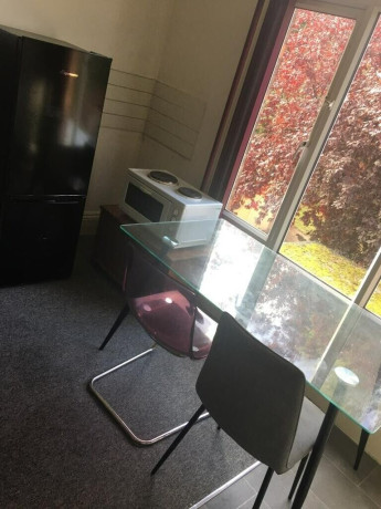 double-room-in-selbourne-road-b20all-dss-acceptedsee-description-big-1