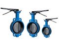 cast-iron-ci-valves-dealers-in-kolkata-small-0