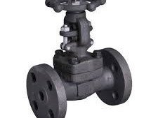 steam-valves-suppliers-in-kolkata