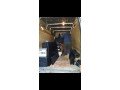 man-and-van247removal-service-cheap-hire-small-3