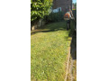 gardening-service-small-4
