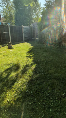 gardening-service-big-2