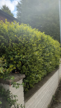 gardening-service-big-1