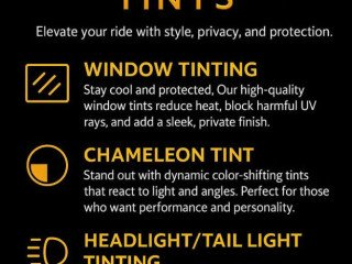 exec-tints
