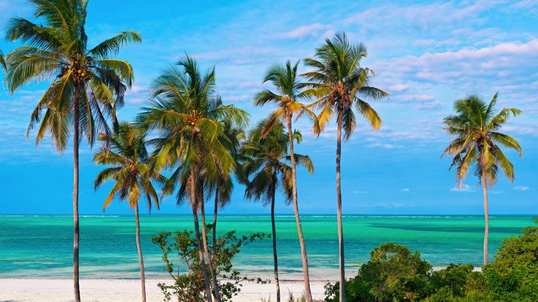 spread-the-balance-over-10-years-2-bed-apartment-in-zanzibar-big-4