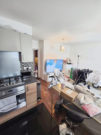 1-bedroom-flat-in-one-bedroom-flat-for-sale-ilford-ig3-big-3