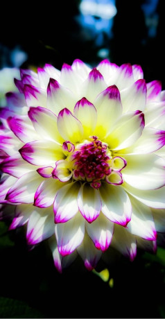 therapeutic-massage-by-qualified-therapist-astress-relief-relaxation-big-3