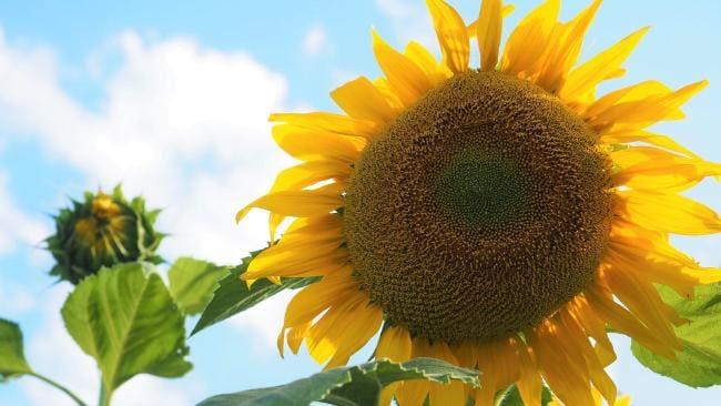 jeff-male-masseur-with-studio-in-central-london-incall-outcall-big-2