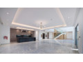 luxury-penthouses-on-the-palm-dubai-small-2