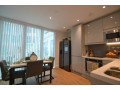 2-bedroom-flat-in-ealing-small-2