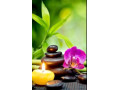 thai-massage-with-apple-small-0
