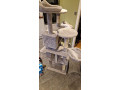 large-cat-tree-small-0