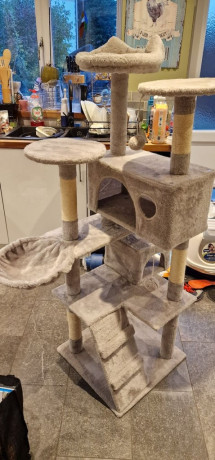 large-cat-tree-big-1