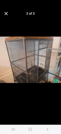 birdparrot-cage-big-1