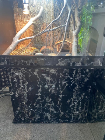 vivarium-and-stand-big-1