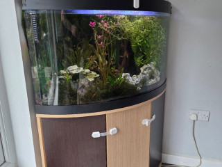 190l-jewel-fishtank-with-brandnew-fluval-external-filter-fully-setup