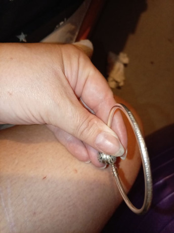 small-beauty-and-the-beast-pandora-bangle-big-1