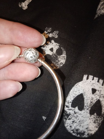 small-beauty-and-the-beast-pandora-bangle-big-2