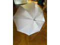 mother-of-pearl-handle-paragon-umbrella-small-0