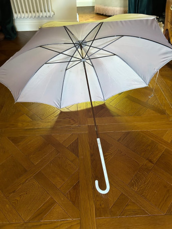 mother-of-pearl-handle-paragon-umbrella-big-1